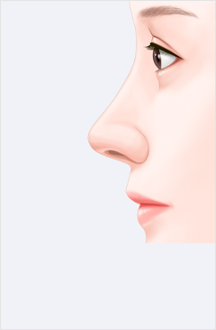 코 이미지