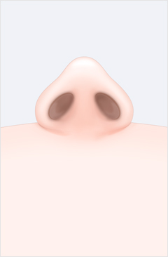 코 이미지
