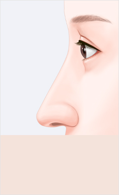 코 이미지